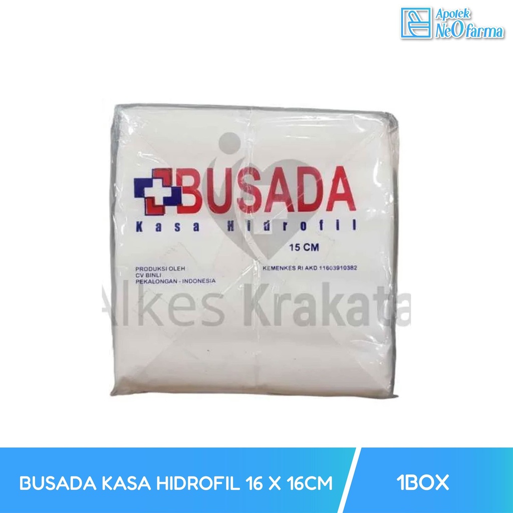 BUSADA KASA HIDROFIL 16 X 16 CM PACK 24 BOX
